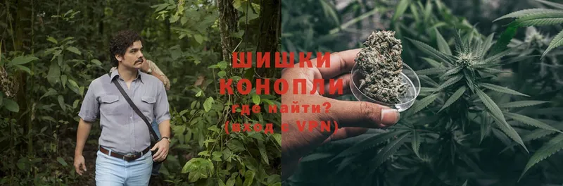 Конопля OG Kush  Сольцы 